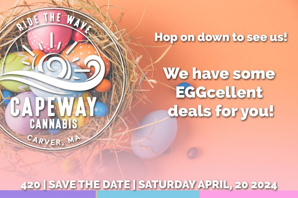we have some eggcellent deals for you