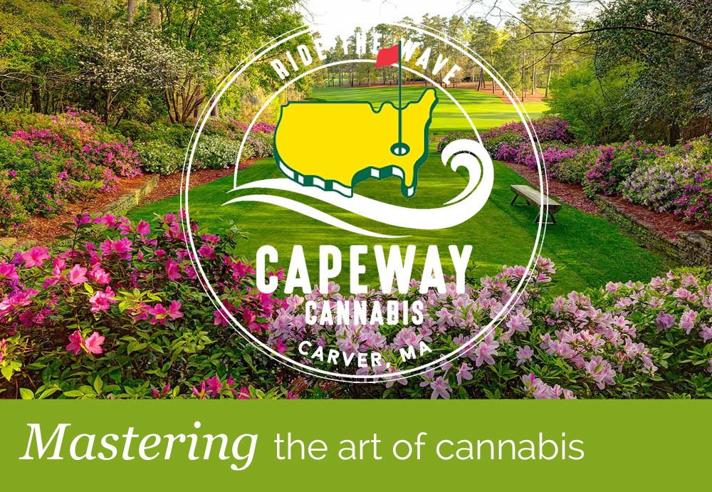 mastering the art of cannabis