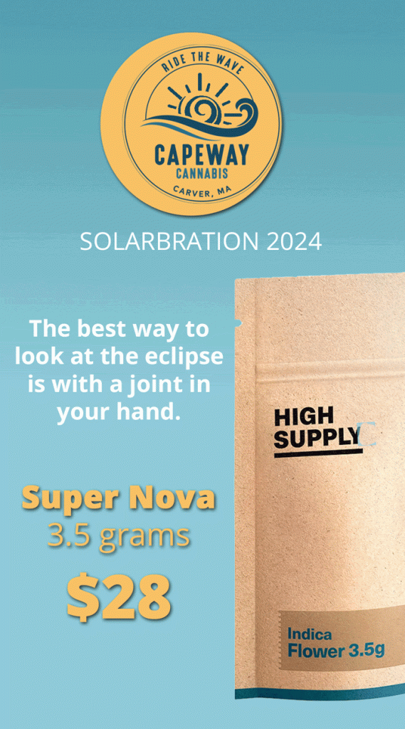 solarbration 2024
