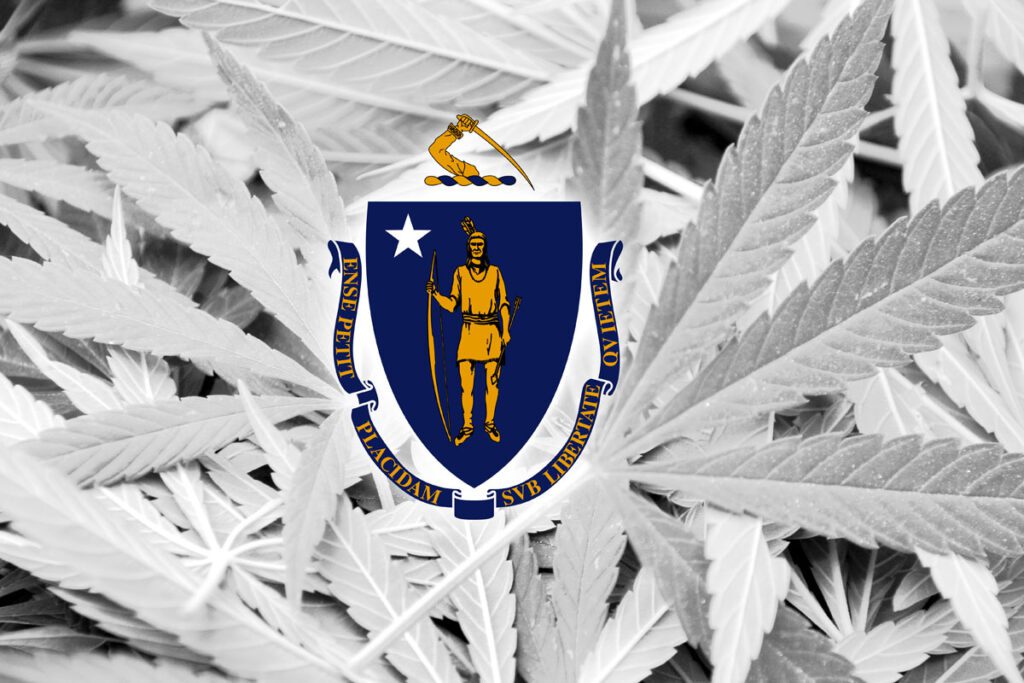 Explore Massachusetts-made cannabis brands at Capeway Cannabis. Discover local growers, fresher flower, and trusted quality.