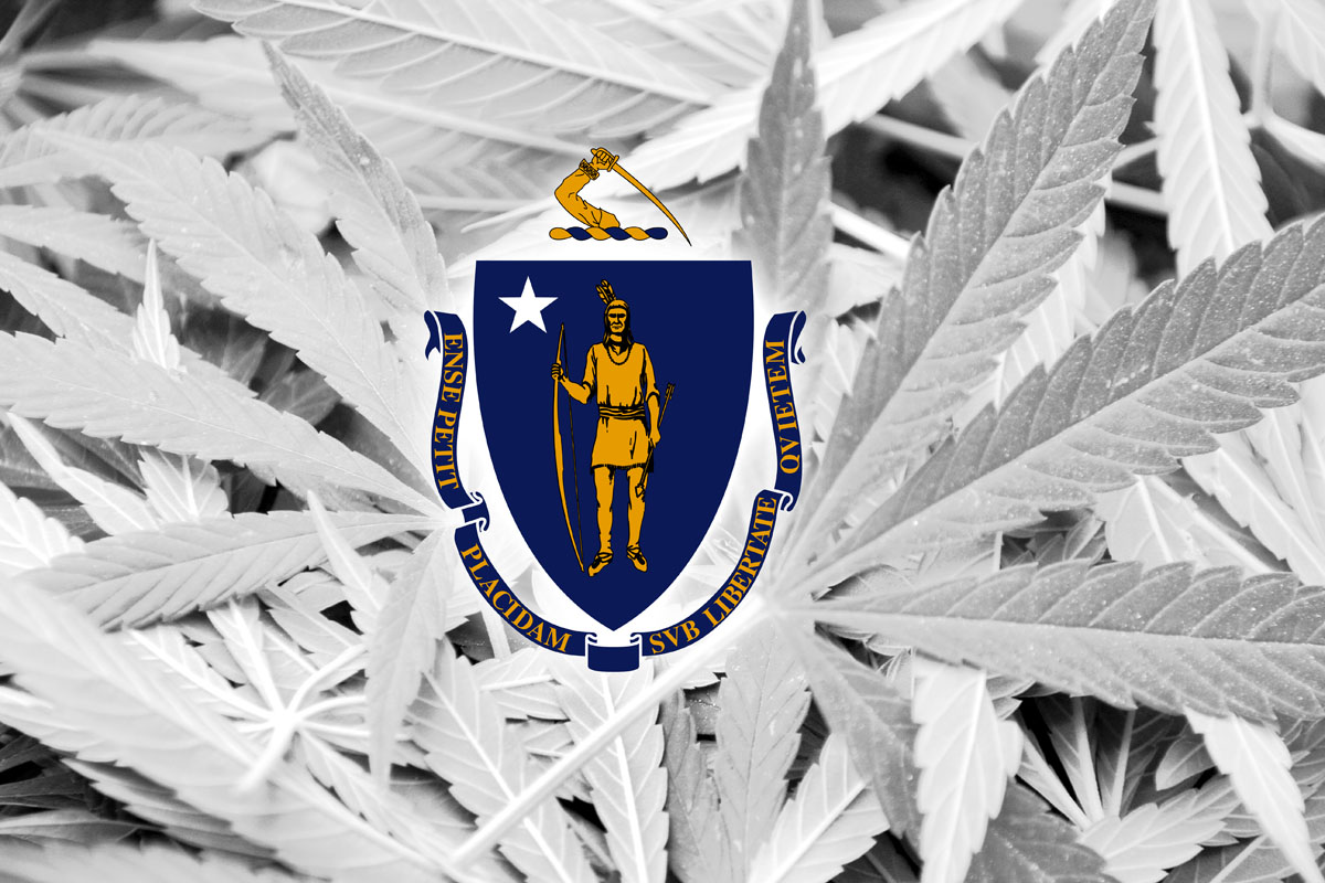 Explore Massachusetts-made cannabis brands at Capeway Cannabis. Discover local growers, fresher flower, and trusted quality.