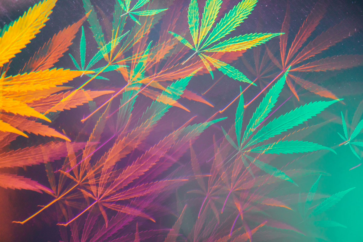 Explore how cannabis may complement creativity. Learn about terpenes, products, and intentional use with Capeway Cannabis.